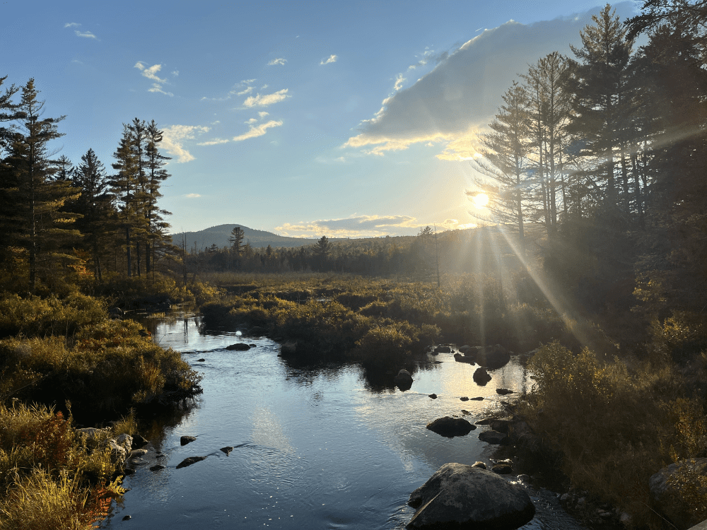 KAWW Featured